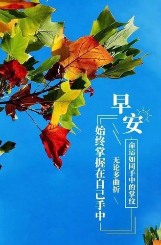 周日阳光早安语录正能量暖心早上好句子图片