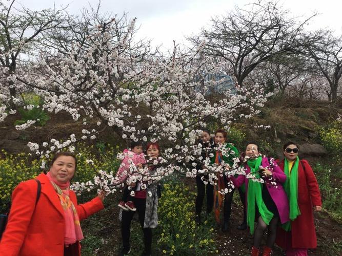 青白江杏花村
