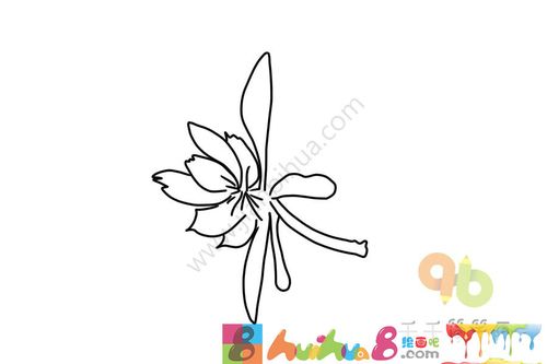 昙花简笔画大全大图,昙花简笔画怎么画,昙花简笔画的步骤,花朵简笔画