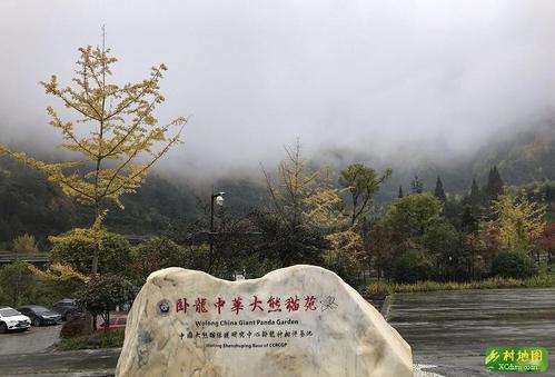 卧龙中华大熊猫苑神树坪基地景区旅游攻略 之景点1(1/共40页)