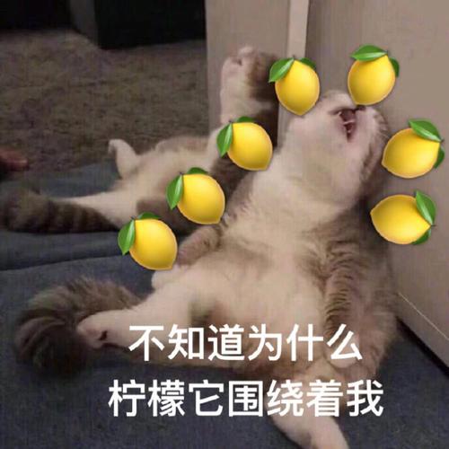 哈哈哈哈哈哈沙雕表情包