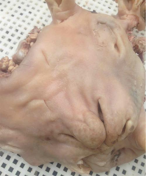 批发卤酱羊头肉 新疆内蒙古餐厅专用 羊脸肉 草原风味