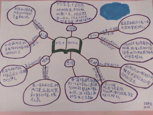 《十万个为什么》思维导图