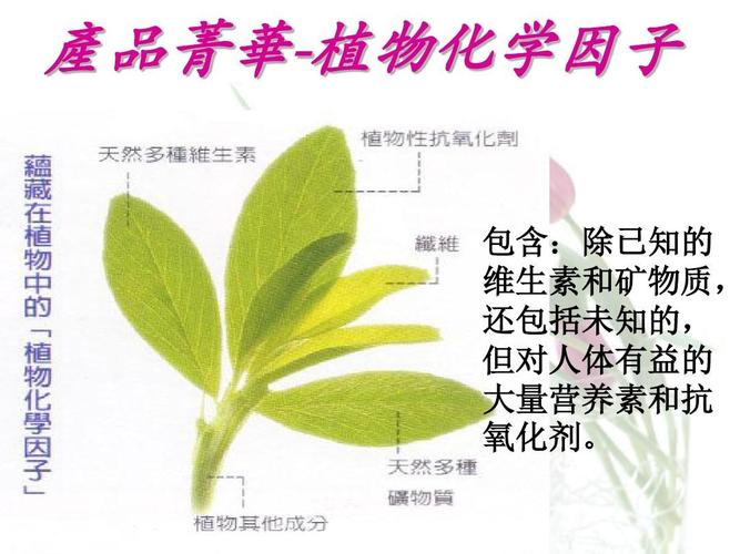 植物营养素