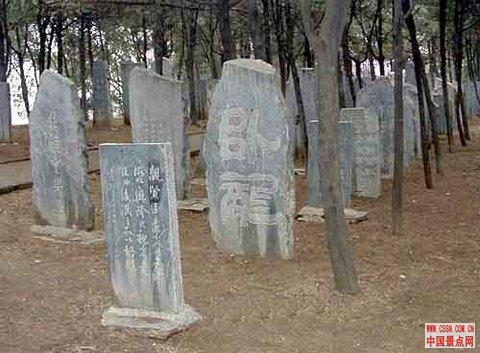 武侯祠博物馆(aaaa级景区)