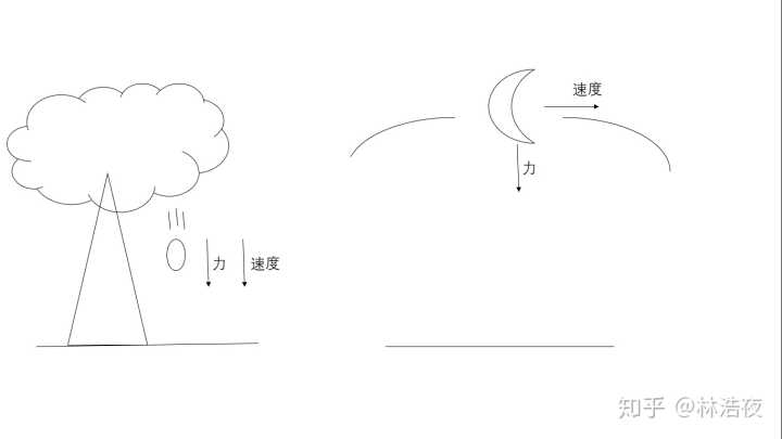 为什么直到牛顿才提出引力理论?
