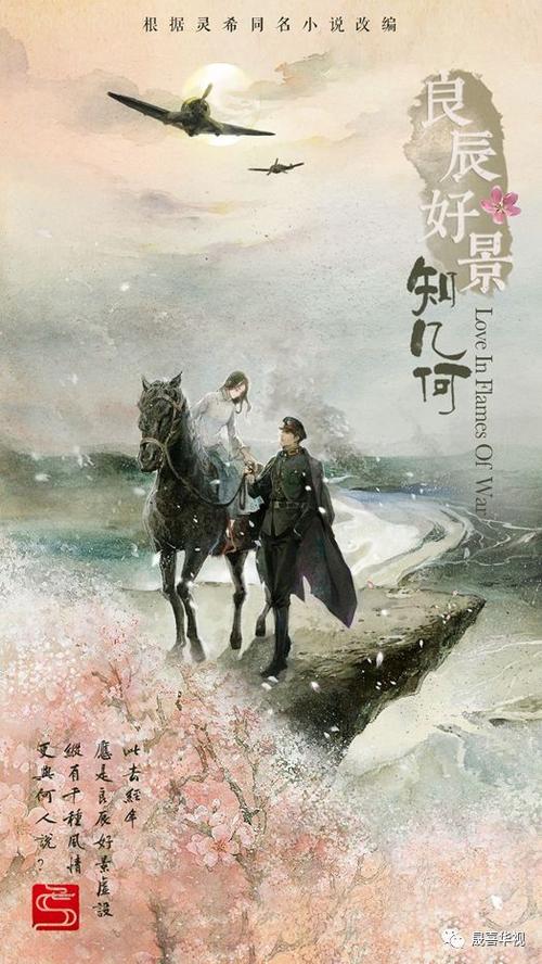 良辰好景知几何》作为晟喜华视2019年的重点项目,改编自灵希畅销小说