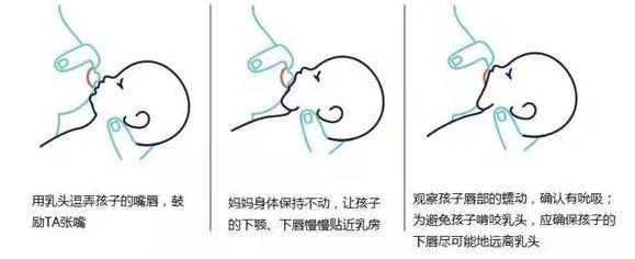 宝宝的含乳姿势,贯穿整个哺乳过程.