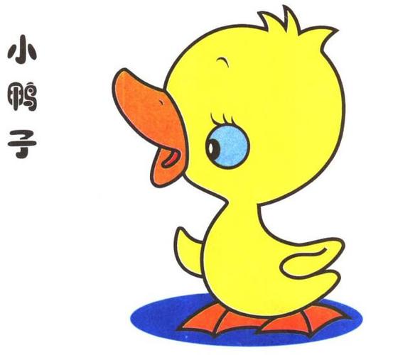 小鸭子儿童卡通画法步骤