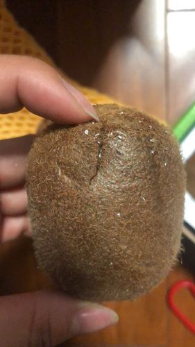 江山js 徐香猕猴桃 绿心 奇异果 国产 20枚泡沫箱装 礼盒 1750g晒单图