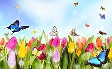 梦幻花朵蝴蝶图片素材_免费梦幻花朵蝴蝶背景图片设计