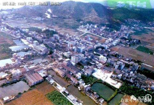 30年前无洛溪新城,沙滘岛上田多过屋