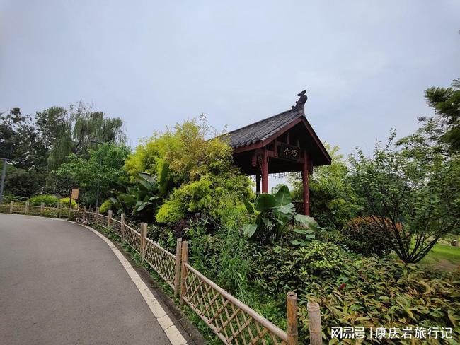 重庆照母山森林公园