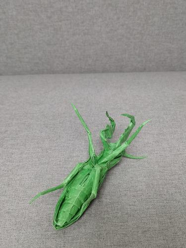 折纸螳螂