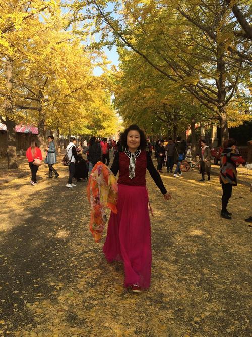 旅顺太阳沟银杏大道和樱花林美篇