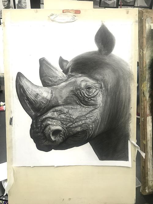 犀牛超写实精微素描