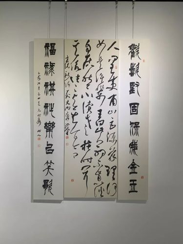 "仰矫首以遥望"冷恒宇首次个人书法展在丹东美术馆开幕