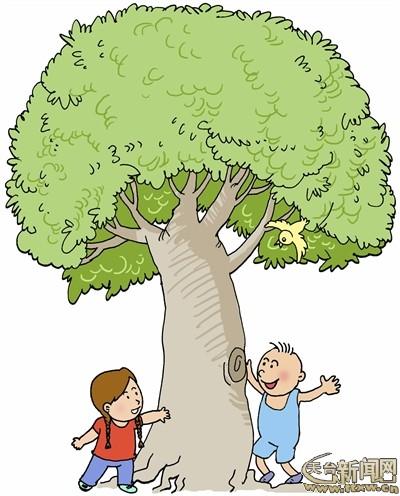 本版图文范晶薇实习生张茹怡老樟树陪我们晨练清晨的体育场格外热闹