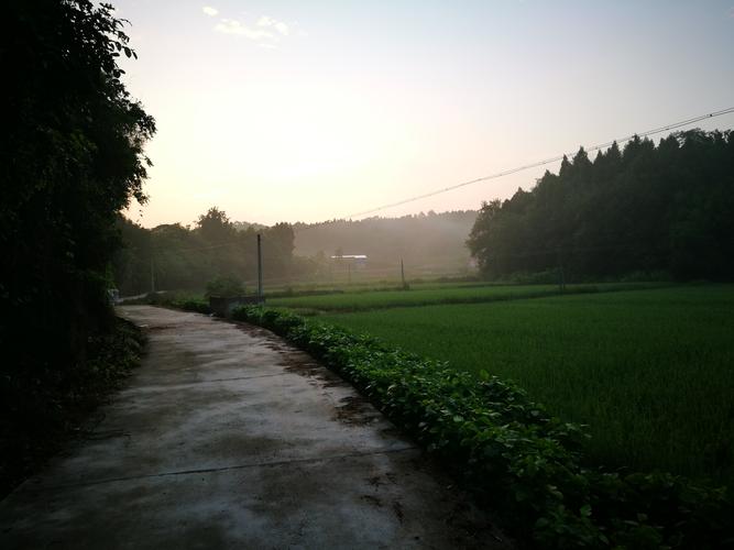 乡村的早晨