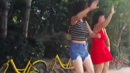 448_252gif 动态图 动图