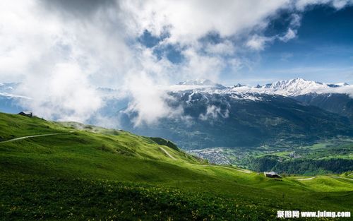 高原草地风景