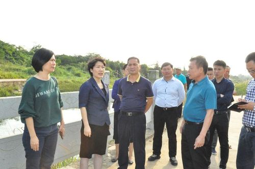 海口市龙华区委书记凌云在美舍河巡河时强调提高政治站位切实把生态
