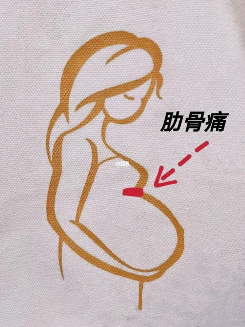 孕晚期肋骨痛_孕晚期_预产期_生育_母婴_孕产经验