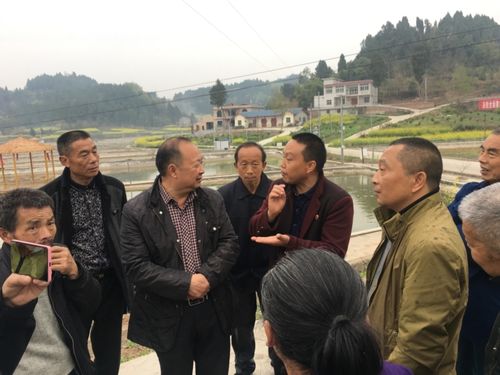 三台县鲁班镇:主动学习 助力脱贫 致富奔康