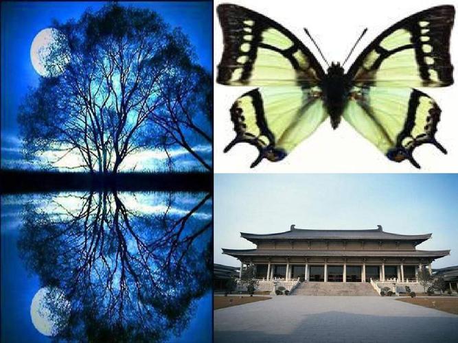 新北师大版_3_轴对称与坐标变化(1)ppt