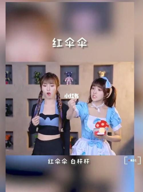 红伞伞74,白杆杆_歌单_我的私藏歌单_娱乐_音乐