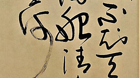草书书法欣赏:唐温如名句,醉后不知天在水,满船清梦压星河