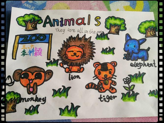 这是我画的english手抄报,zoo