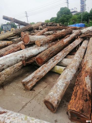 澳洲花梨(替代刺猬紫檀)