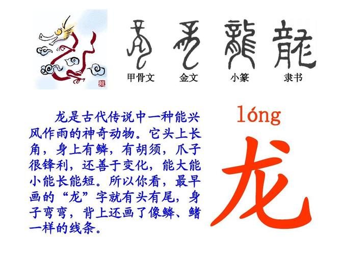 教学反思/汇报 甲骨文ppt  甲骨文 甲骨文 金文 小篆 隶书 龙是古代