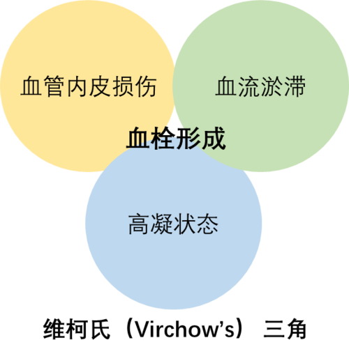 图为"virchow三角",指的是血栓形成的三个要素:血流淤滞,血管壁损伤