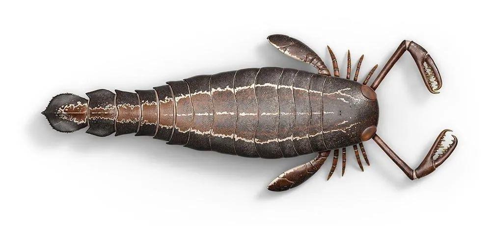 海洋头号杀手——消逝的远古蝎子