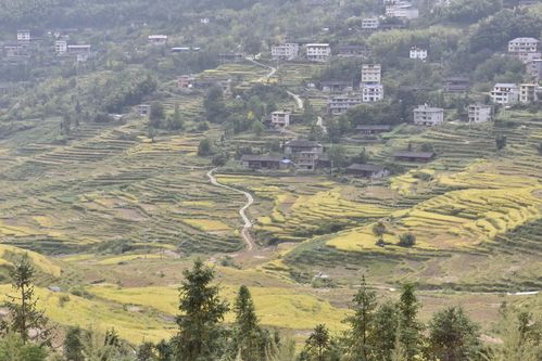 福建三明复"活"千年古梯田