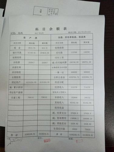 龙西村2月份科目余额表
