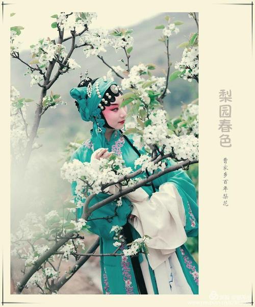 梨花开 梨花开 春带雨 梨花落 春入泥 此生只为一人去 道他君王情也痴