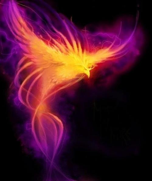 心理测试哪只凤凰能够涅盘重生测你5年后能否一飞冲天