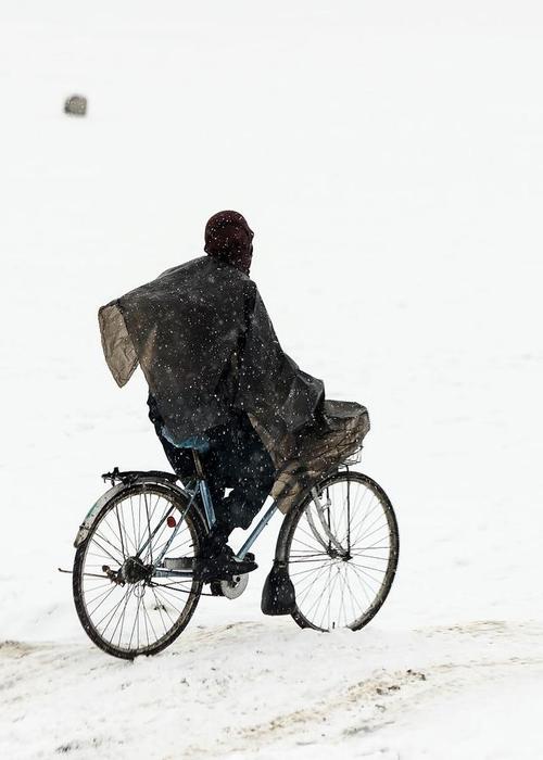 父亲的背影,一目送,便泛泪
