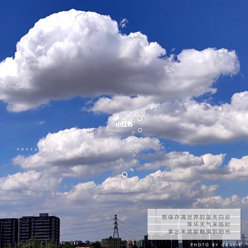 校园风景_风景_惠州卫生职业技术学院自由行热门攻略_文案_校园日常