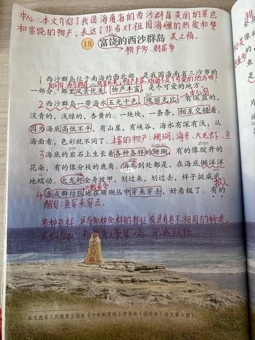 三年级语文《富饶的西沙群岛》学习笔记_语文_学习_西沙群岛_三年级