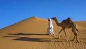 arabian desert