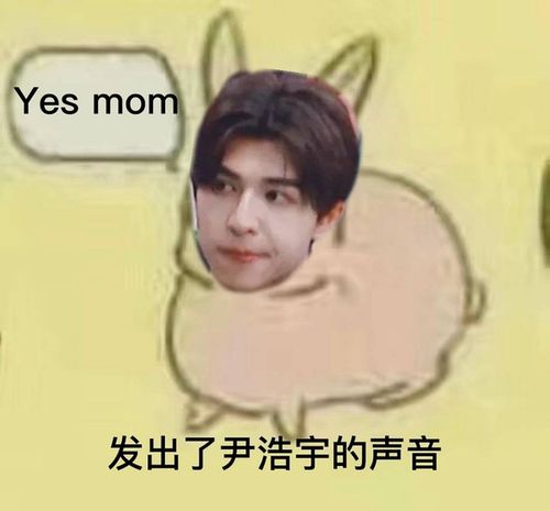 回应: 想要尹浩宇表情包!