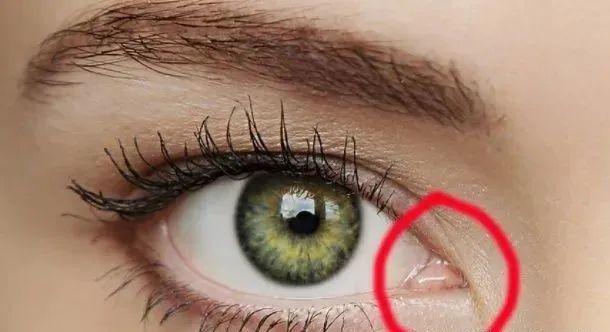 人类可以转动头部获取声音信息,动耳肌逐渐退化,仅起固定耳朵的作用