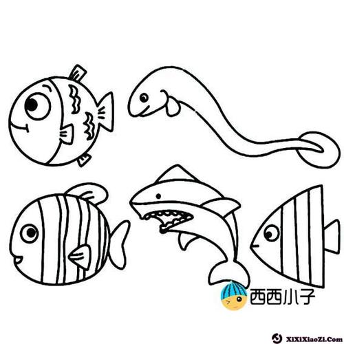 怎样画海洋生物简笔画图片
