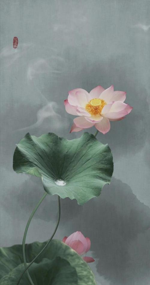 十丈芙蕖一镜天——素雅美艳的荷花工笔画作品欣赏(图