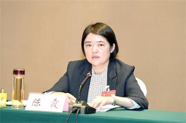 建湖县人民政府 建湖要闻 陈霞参加高新区(塘河)代表团讨论