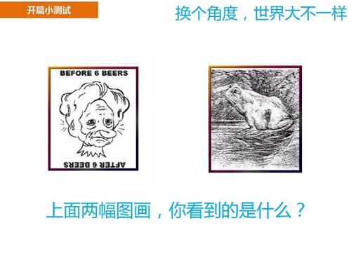 开篇小测试 换个角度,世界大不一样 上面两幅图画,你看到的是什么?